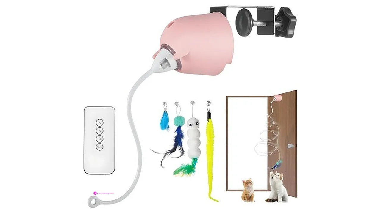 Cat Interactive Toys Use Code Nmvg9l8…