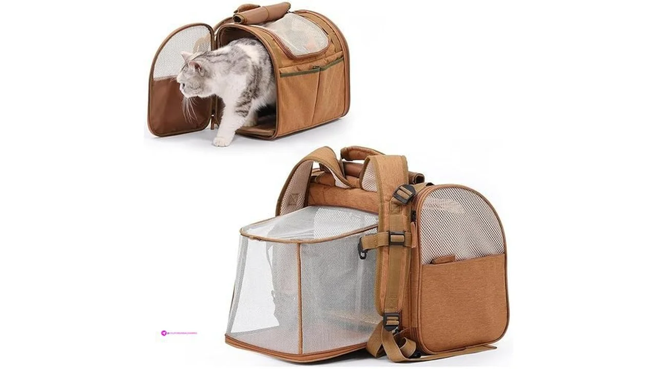Henofen Pet Backpacks Code 6myo38b7
