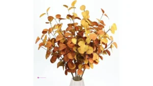 Bessol Eucalyptus Stems Code S3sxtiro