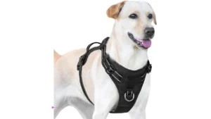 Sunraymascota Dog Harnesses Code Rpia…