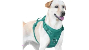 Sunraymascota Dog Harnesses Use Code …