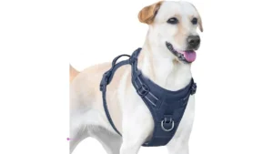 Sunraymascota Dog Harnesses Code Rpia…