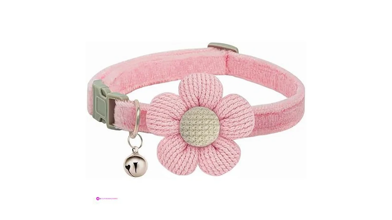 Puppy Collars Pink Code Myg7g6dc