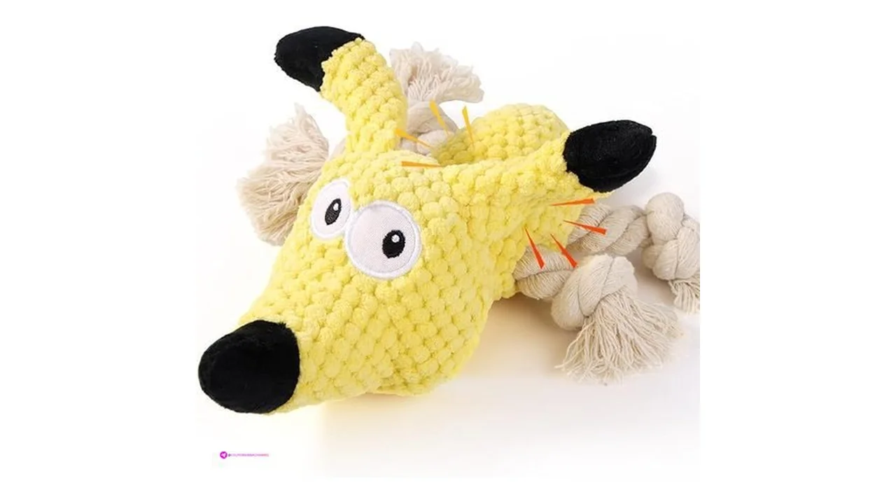 Letmeet Dog Toys Code Htkdu3ql