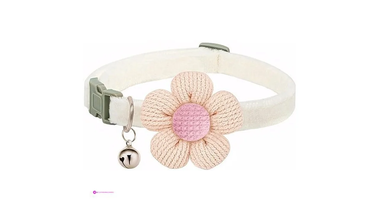 White Puppy Collars Code Myg7g6dc