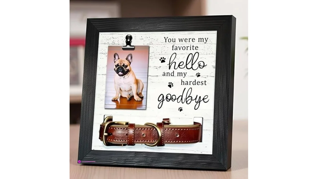 Lazyesther Pet Photo Frames Code Qhaw…