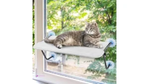 Cat Window Perches Code 98go6bsm