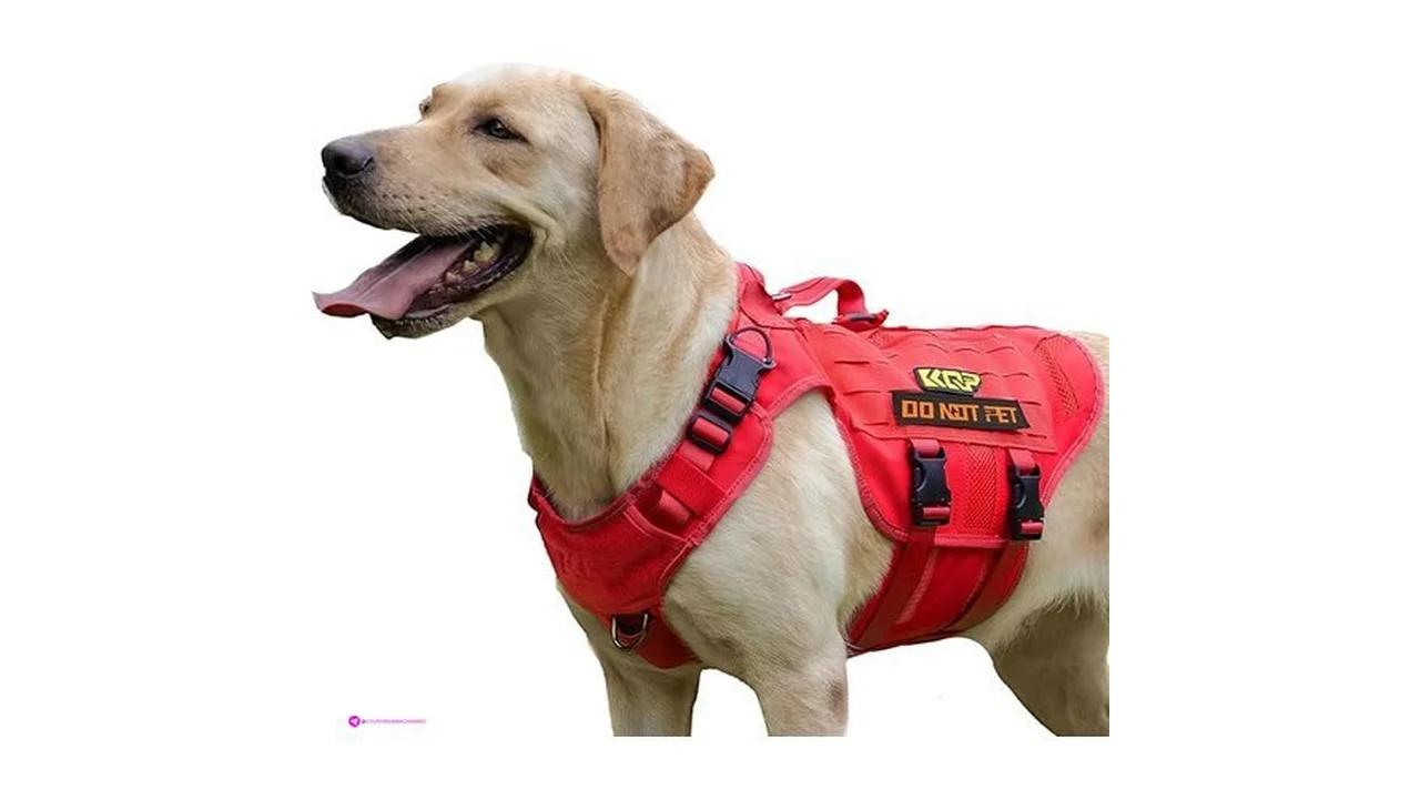 Kqp Dog Harnesses Code Wvy6bjou