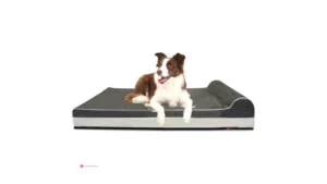 Laifug Large Dog Beds Code Bbo5yd8p