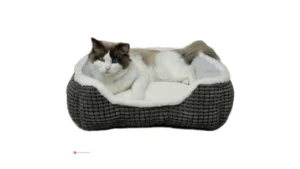Pet Beds Code 92q38tq8