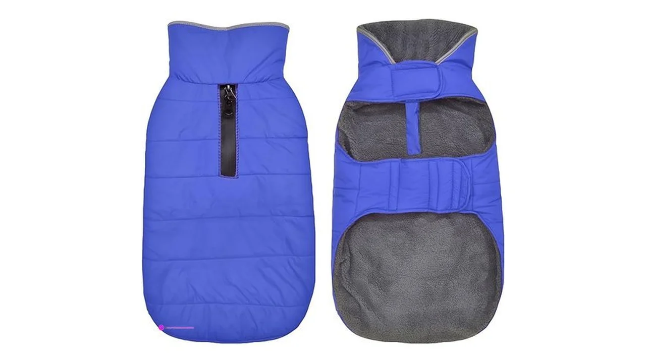 Petglad Dog Winter Coats Code Ylqxd4c…