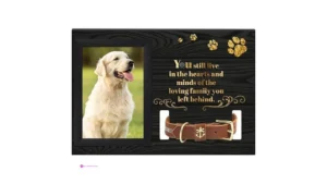 Vasemouh Dog Memorial Frames Code Hep…