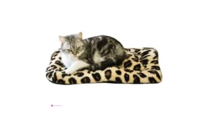 Reg Kingrock Fluffy Dog Crate Bed