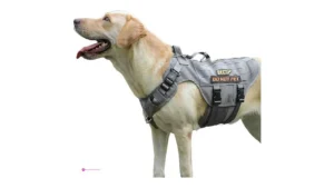 Pull Dog Harnesses Code Wvy6bjou