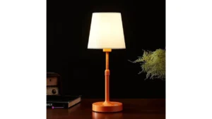 Butastur Table Lamps Code Mdemcyyr