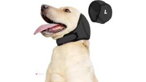 Fenyotech Calming Hoodies Clip Coupon