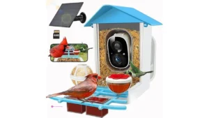 Birds Solar Cameras Code 4mwsvil7 For