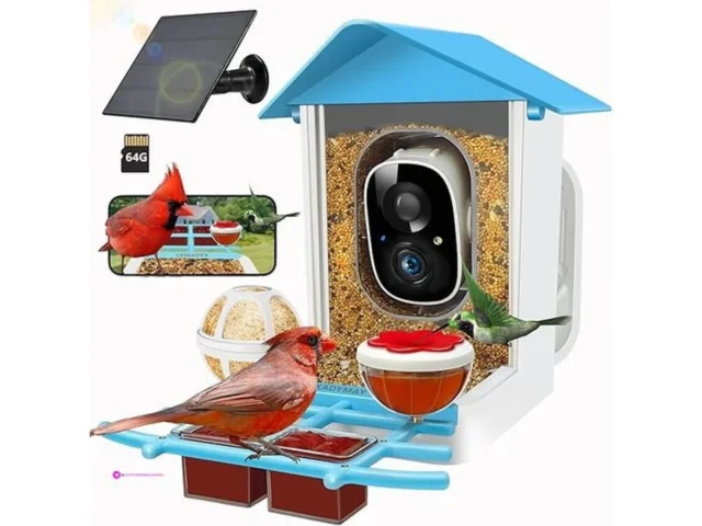 Birds Solar Cameras Code 4mwsvil7 For