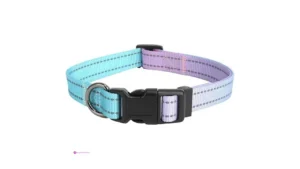 Soottaci Dog Collars Code Wkxo6abn