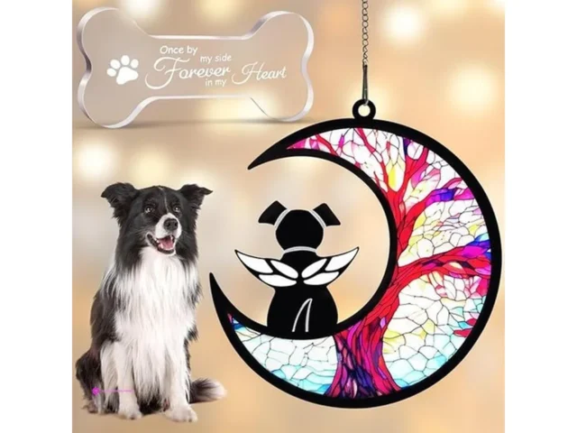 Dcoinc Dog Memorials Use Code Yrp8j89…