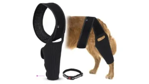 Augot Dog Knee Braces Code Hdh9vtir