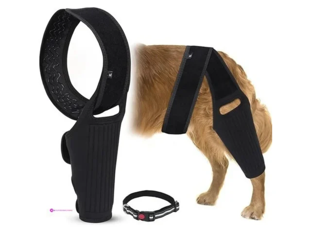 Augot Dog Knee Braces Code Hdh9vtir