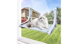 Large Pet Window Perches Code 5vy54ap…