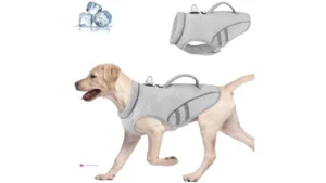 Reg Slowton Cooling Vests Code Ezy5nl…