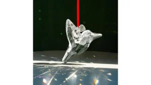 Suncatchers Clip Coupon