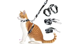 Cat Harnesses Code 4b2xb99h