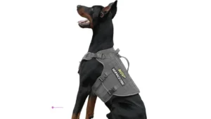 Tactical Dog Harnesses Code Xgox9bdn