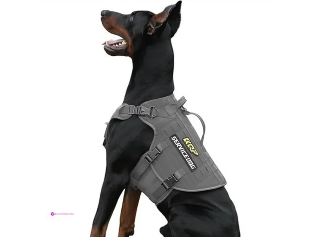 Tactical Dog Harnesses Code Xgox9bdn