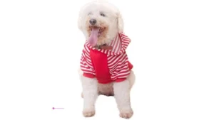 Cutebone Dog Hoodies Clip Coupon