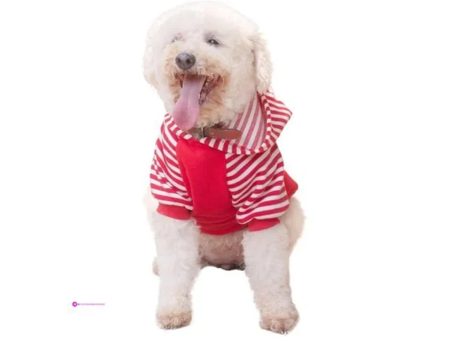 Cutebone Dog Hoodies Clip Coupon