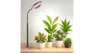 Yeoleh Grow Lights Clip Coupon