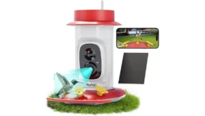 Hummingbird Feeders Code Znddsynv