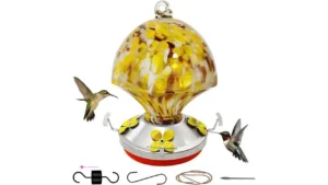 Ruiyi Glass Hummingbird Feeders Code …