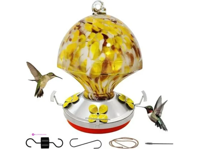 Ruiyi Glass Hummingbird Feeders Code …