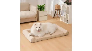 Funny Fuzzy Dog Beds Code Ffpet0850