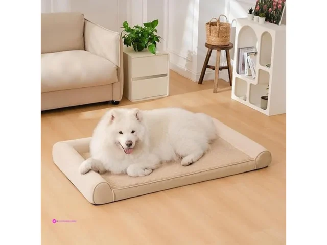 Funny Fuzzy Dog Beds Code Ffpet0850