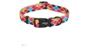 Reg Dog Collars Code Rkmpmogn