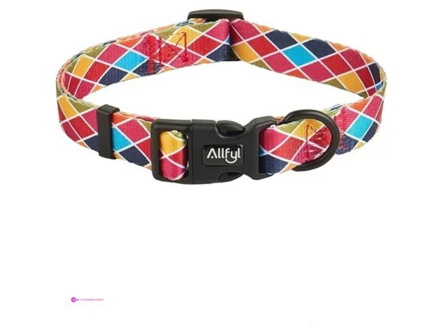Reg Dog Collars Code Rkmpmogn