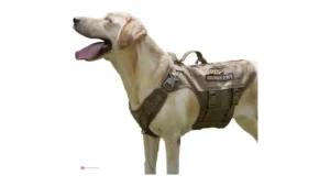 Tactical Dog Harnesses Use Code Wvy6b…