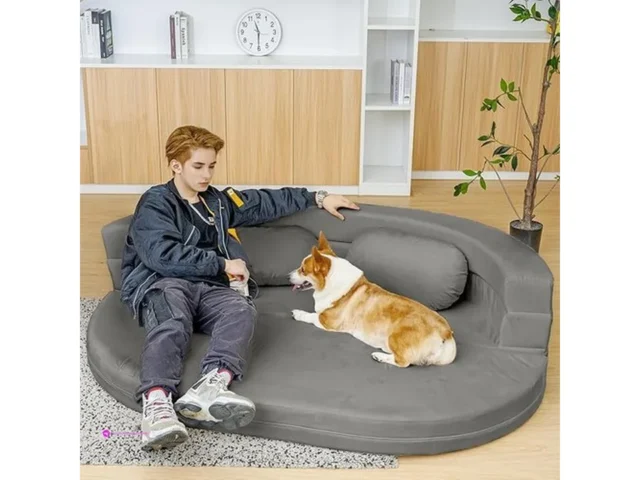 Folding Sofa Beds Code 6lvp7zh3