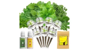 Lykoclean Herb Seed Pods Code Fgnoqy6…