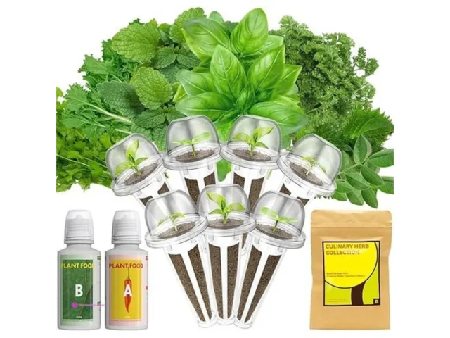 Lykoclean Herb Seed Pods Code Fgnoqy6…