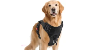 Pwod Dog Harnesses Code V2c4w7cm