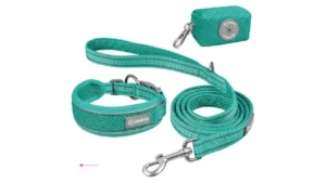 Reg Huanovix Dog Leashes Code Om25xks…
