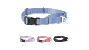 Rttochfy Dog Collars Code Vd687emn