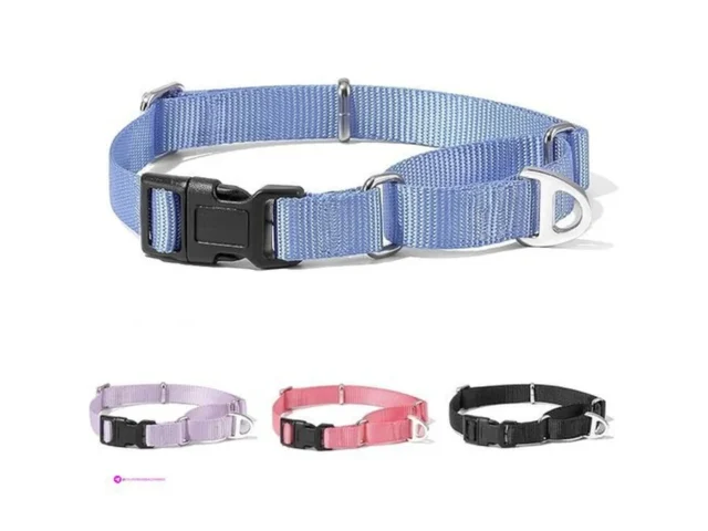 Rttochfy Dog Collars Code Vd687emn
